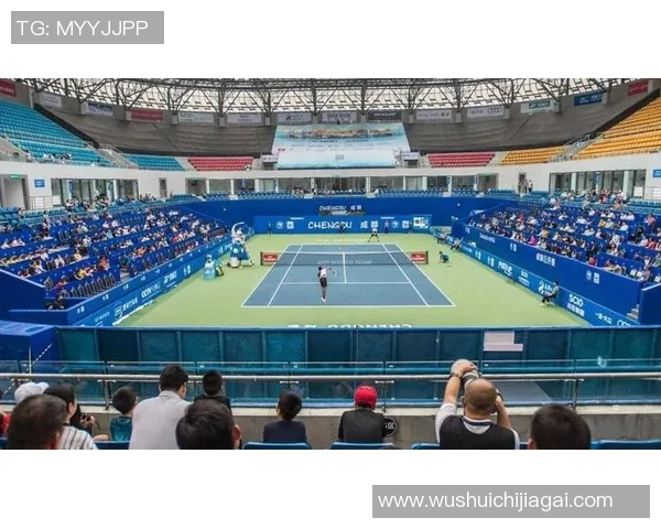 成都网球队耐力表现数据分析揭示训练效果与运动员潜力的深度关系 成都网球队耐力表现数据分析揭示训练效果与运动员潜力的深度关系