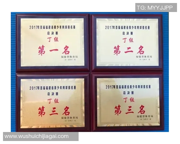 杭州网球队与南京网球队赛后复盘探讨灵活性对比赛结果的影响 杭州网球队与南京网球队赛后复盘探讨灵活性对比赛结果的影响