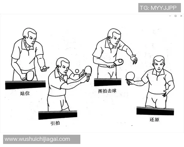 武汉乒乓球队防反打法深度分析与战术解析 武汉乒乓球队防反打法深度分析与战术解析