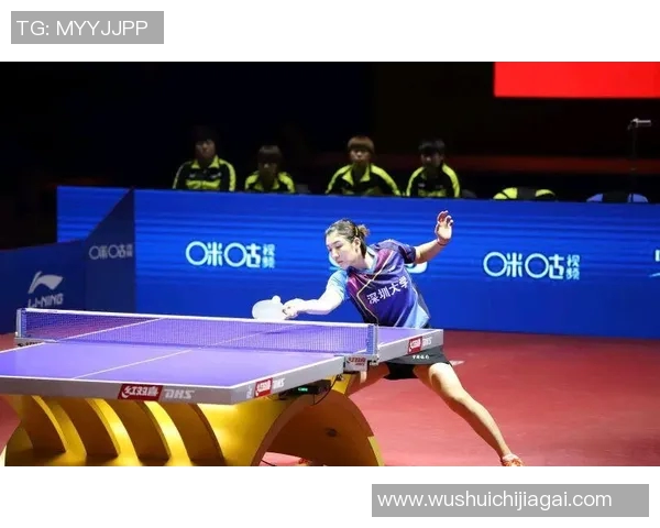 深入分析西安羽毛球队独特的节奏打法与战术优势