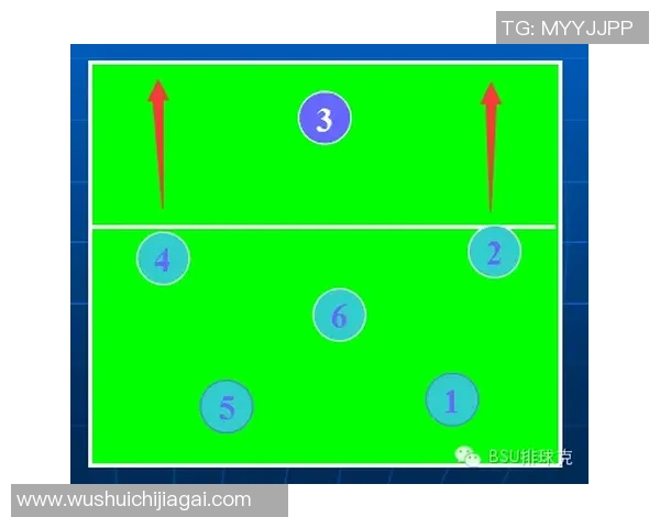 杭州排球队战术解析:从技术细节到团队协作的全面探讨