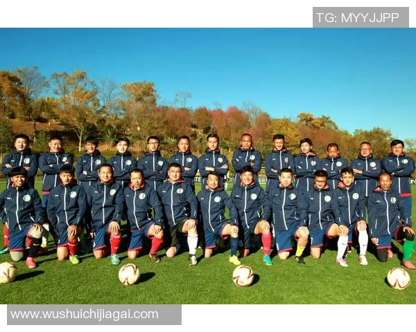 心态崩溃的足球明星们如何面对职业生涯的低谷与挑战