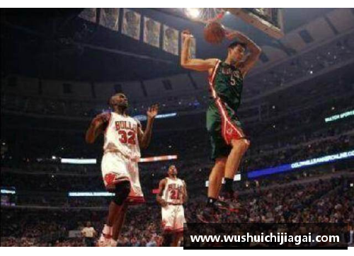 NBA明星度假胜地推荐：精彩篮球与休闲享受的完美结合