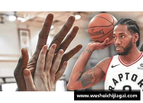 NBA比赛录象：全方位视角探索赛场内外