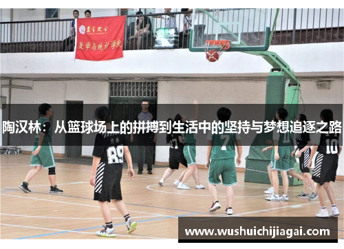 陶汉林：从篮球场上的拼搏到生活中的坚持与梦想追逐之路