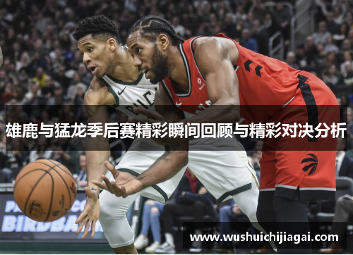 雄鹿与猛龙季后赛精彩瞬间回顾与精彩对决分析